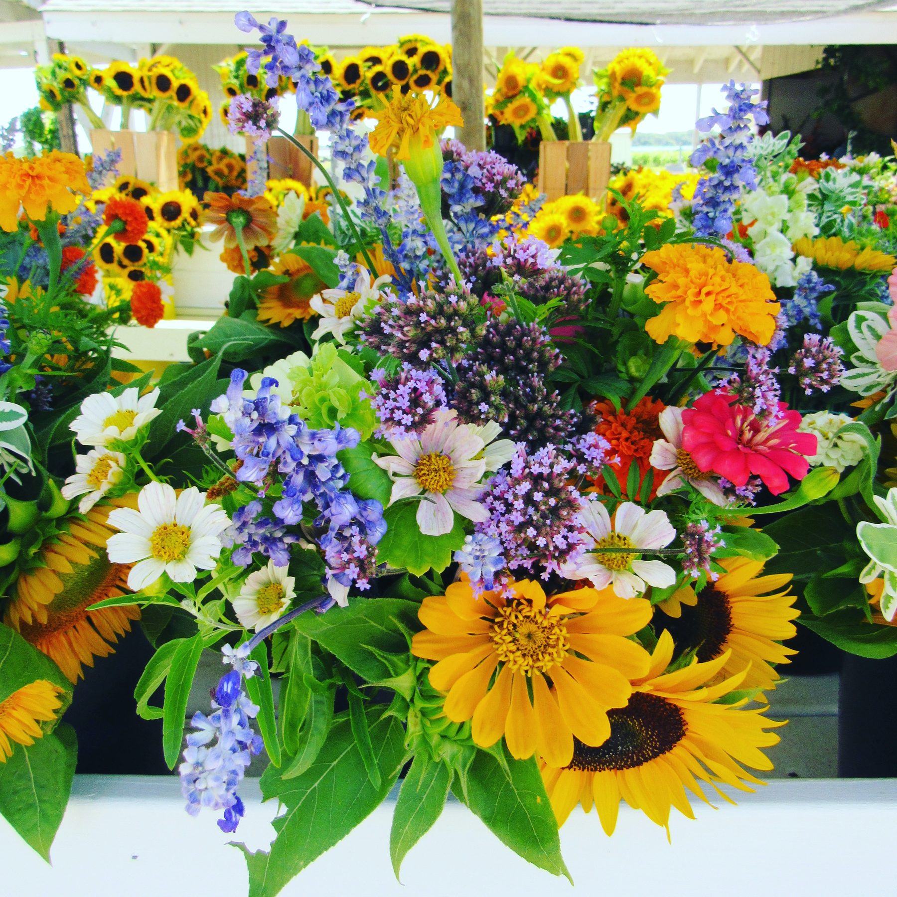 North Fork Weddings